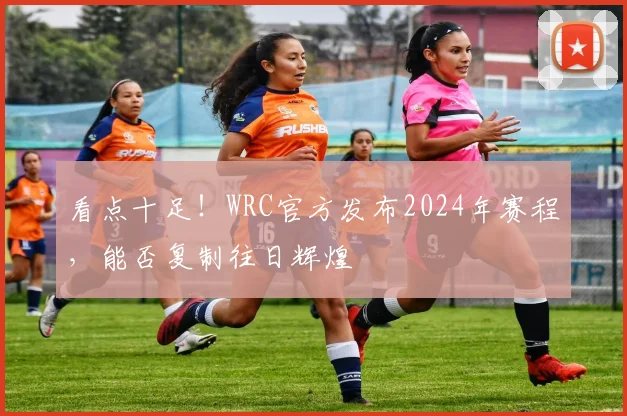 看点十足!WRC官方发布2024年赛程,能否复制往日辉煌